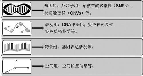 口腔醫學論文范文